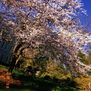 Meet your Posher, Isabel